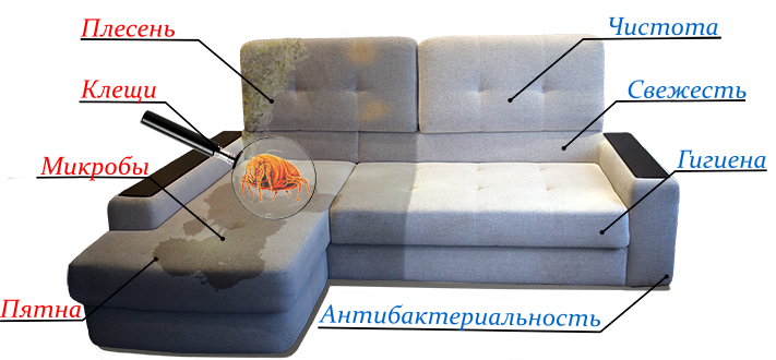 Картинка - избавление от плесени, грибка, бактерий в мягкой мебели.
